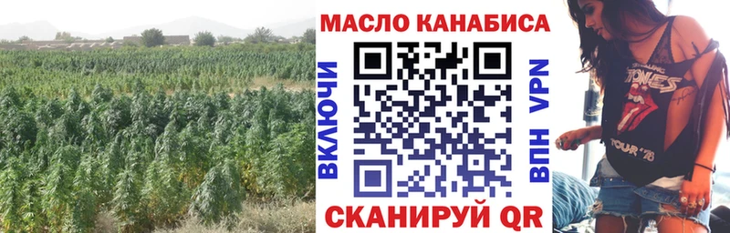 Купить  Цивильск  ТГК концентрат 