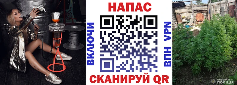 Купить где  Цивильск  Бошки Шишки SATIVA & INDICA 